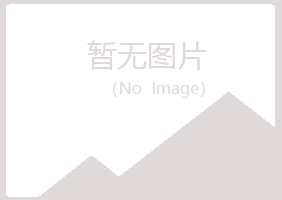 宁夏雅山工程有限公司